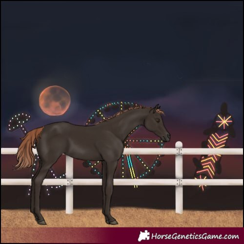 Horse Color:Liver Chestnut Rabicano 