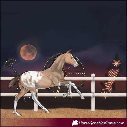 Horse Color:Amber Champagne Splash Tobiano Blanket