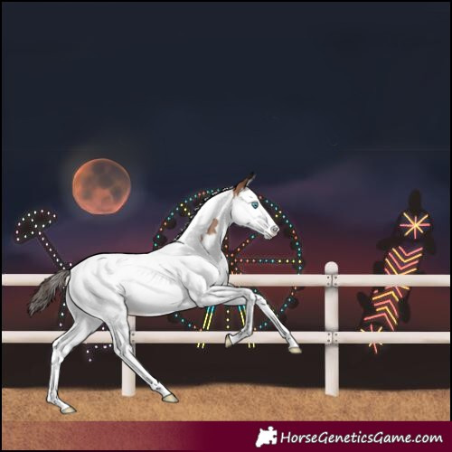 Horse Color:Classic Champagne Splash Tobiano 