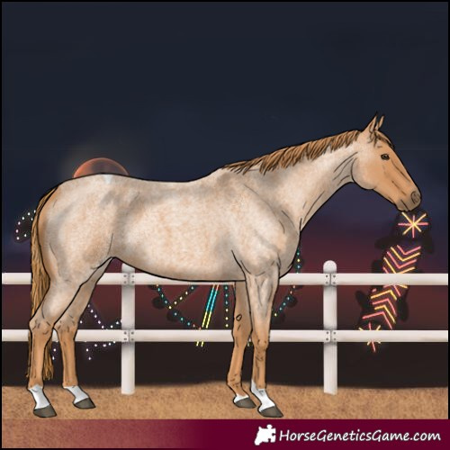 Horse Color:Red Roan Tobiano 