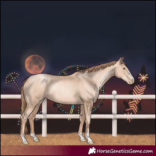 Horse Color:Gold Champagne Pearl Rabicano and Gold Champagne Pearl Rabicano