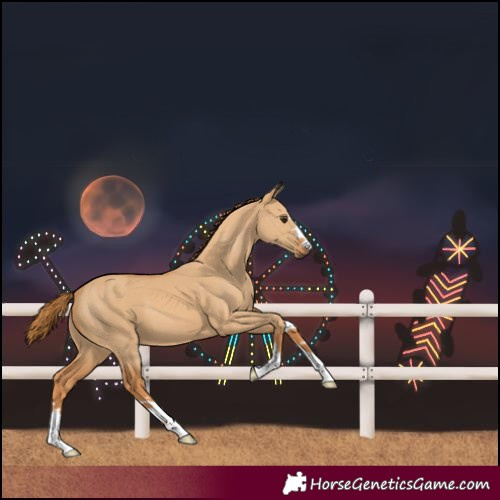 Horse Color:Red Dun