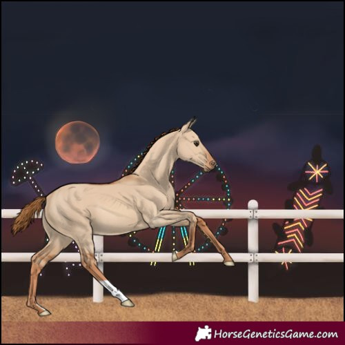 Horse Color:Red Dun 