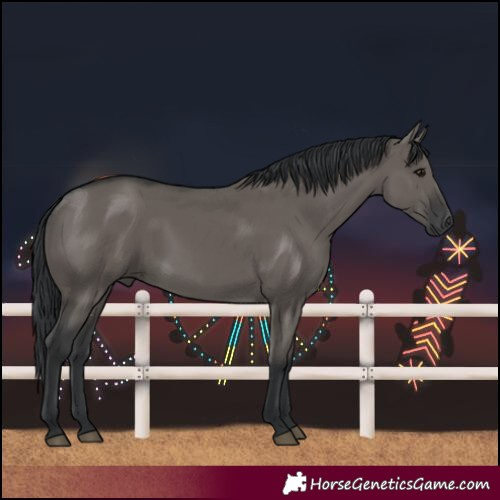 Horse Color:Grullo Rabicano 