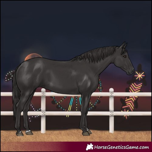 Horse Color:Smoky Black