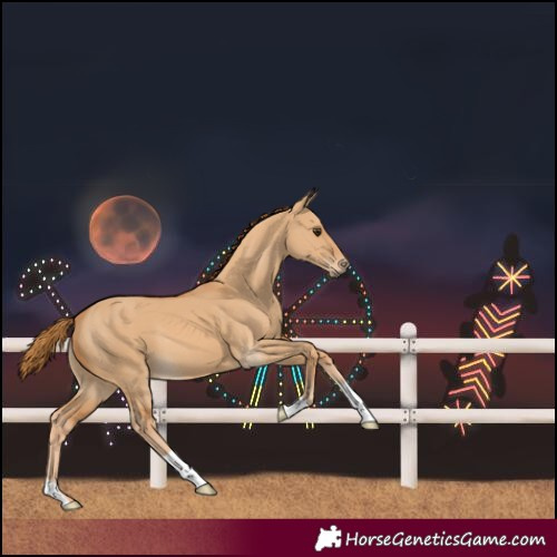 Horse Color:Red Dun 