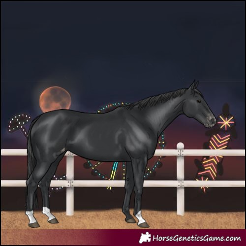 Horse Color:Black Varnish 