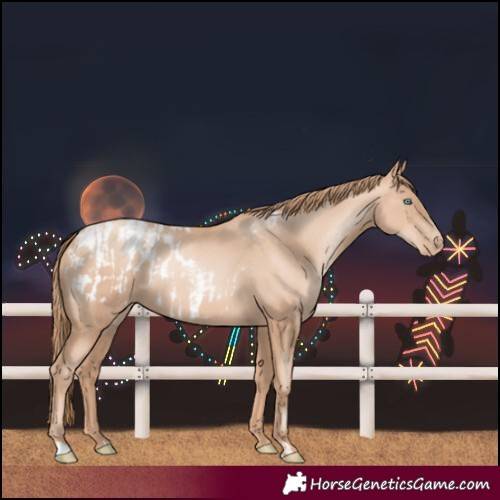 Horse Color:Gold Champagne Pearl Rabicano and Gold Champagne Pearl Blanket Rabicano