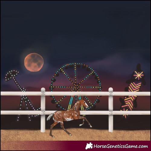 Horse Color:White Spotted Silver Bay Frame 