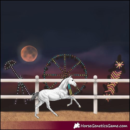 Horse Color:Brown Sabino 