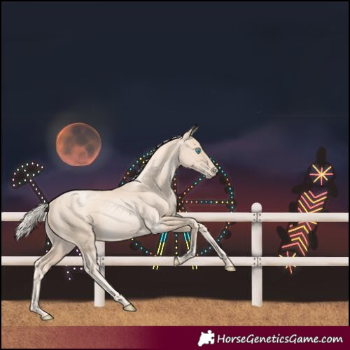 Horse Color:Gold Cream Champagne Pearl