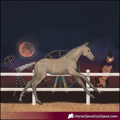 Horse Color:Silver Smoky Grullo 