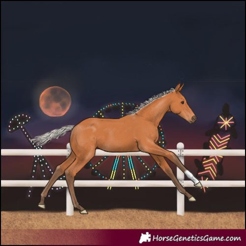 Horse Color:Silver Bay