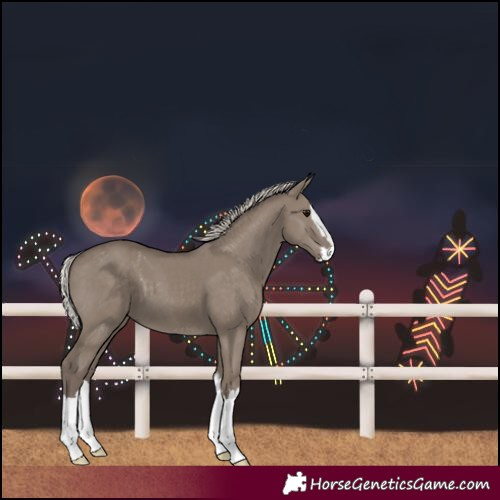 Horse Color:Silver Grullo Splash