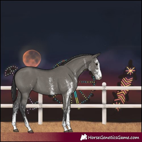 Horse Color:Unknown 