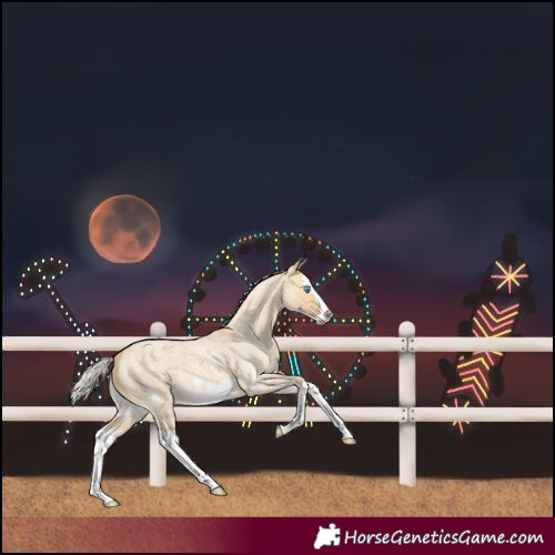 Horse Color:Silver Buckskin Roan Dun Splash Frame
