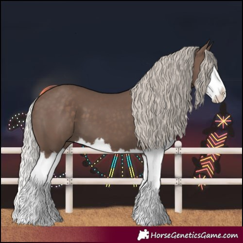 Horse Color:Silver Black Splash 