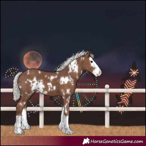 Horse Color:White Spotted Silver Black Splash 
