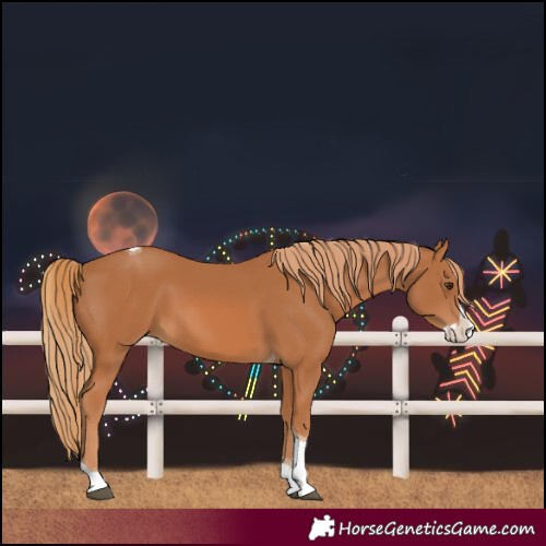 Horse Color:Chestnut Splash Tobiano 