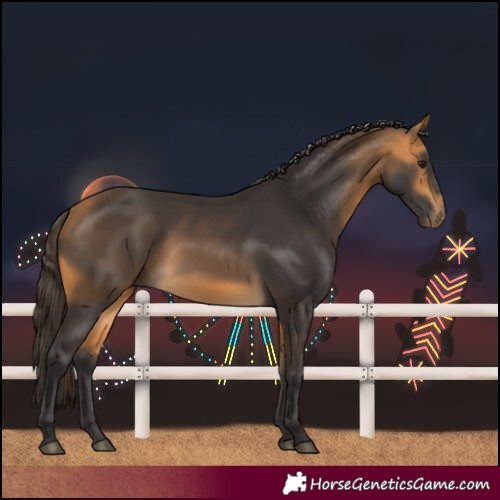Horse Color:Buckskin 