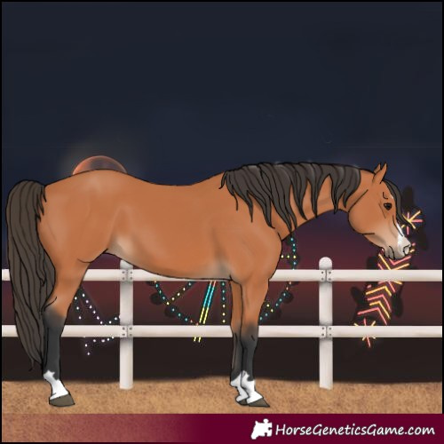 Horse Color:Unknown 