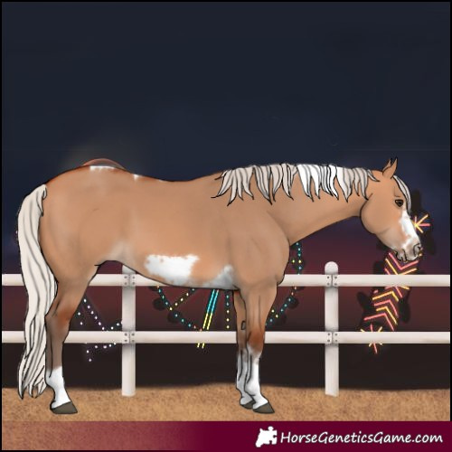 Horse Color:Silver Bay Dun Sabino Tobiano Frame Rabicano 