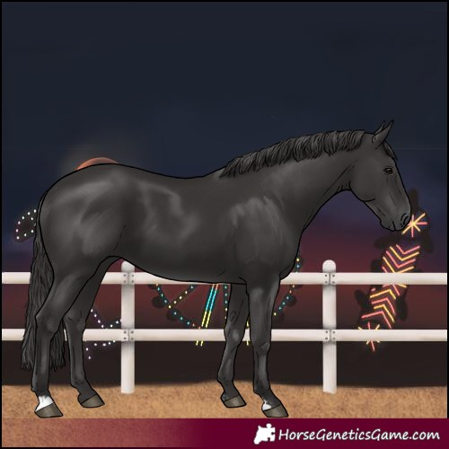 Horse Color:Smoky Black  and Smoky Black 