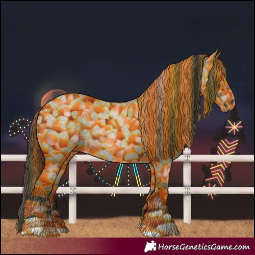 Horse Color:Smoky Grullo Roan 