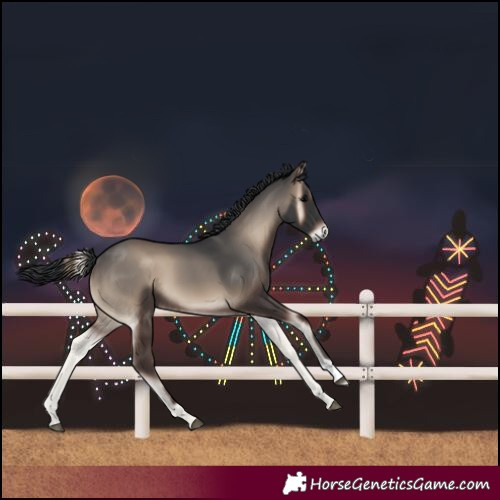 Horse Color:Blue Onyx