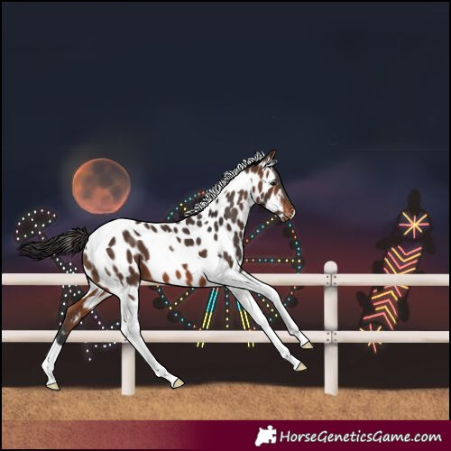 Horse Color:Brown Tobiano Near Leopard