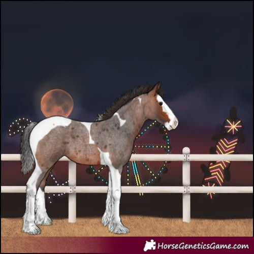 Horse Color:Bay Roan Splash Tobiano 