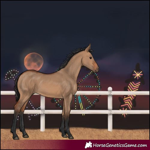 Horse Color:Bay Dun 