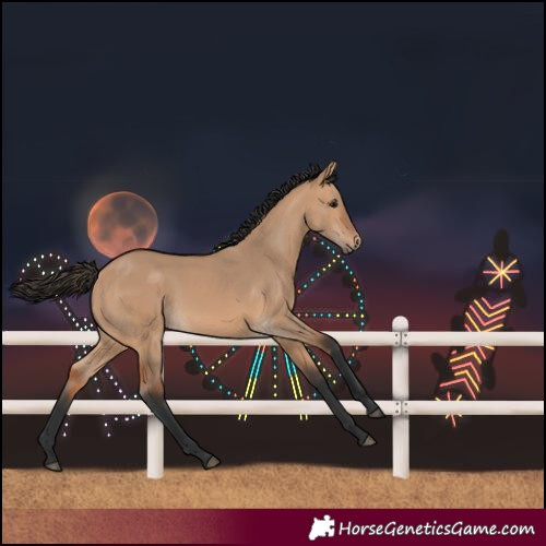Horse Color:Bay Dun