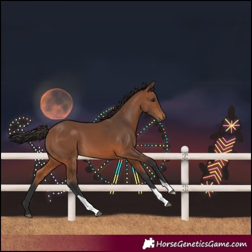 Horse Color:Bay Tobiano 