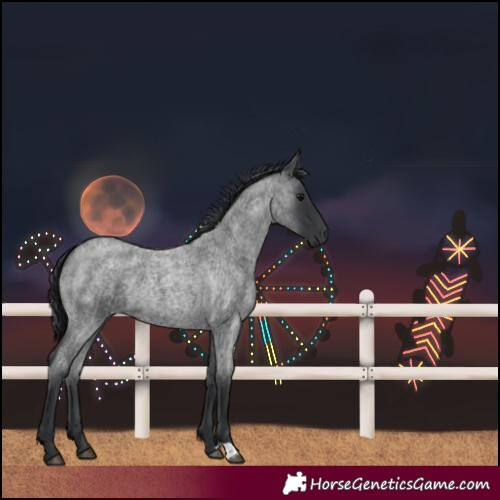 Horse Color:Blue Roan 