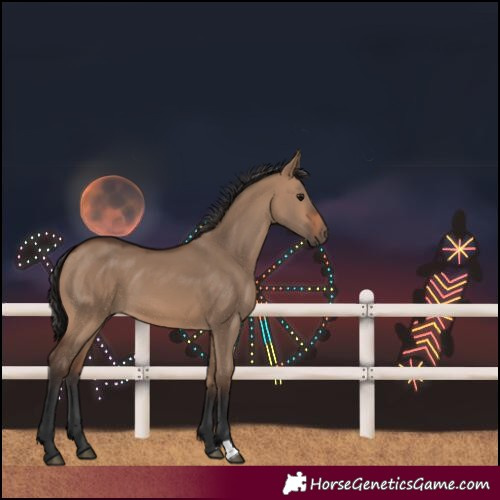 Horse Color:Brown Dun 