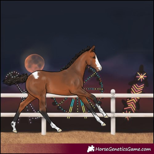 Horse Color:Bay Varnish 