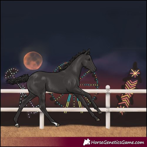 Horse Color:Unknown 