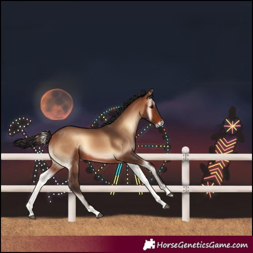 Horse Color:Unknown 