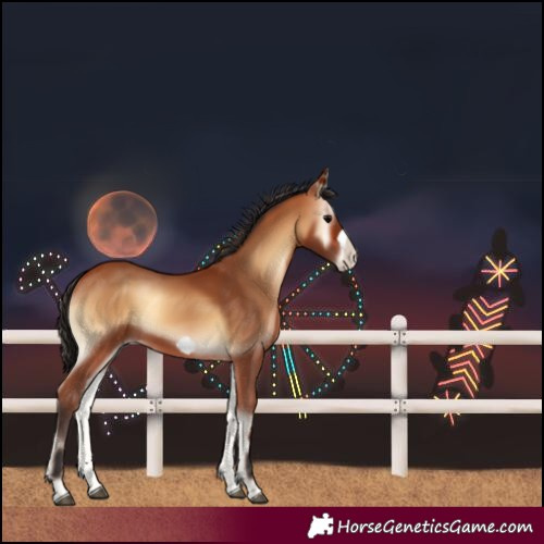 Horse Color:Unknown 