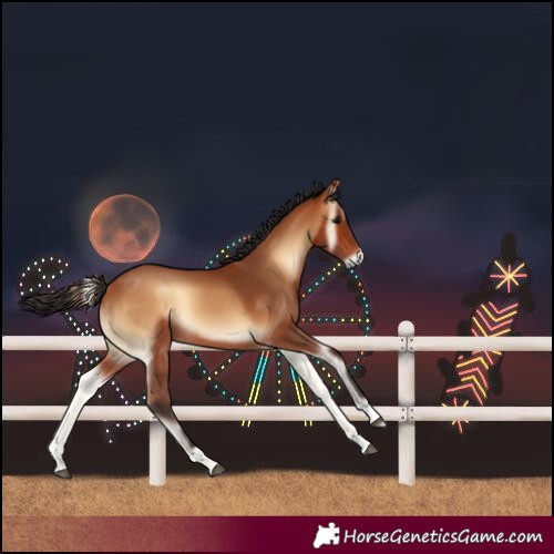 Horse Color:Unknown
