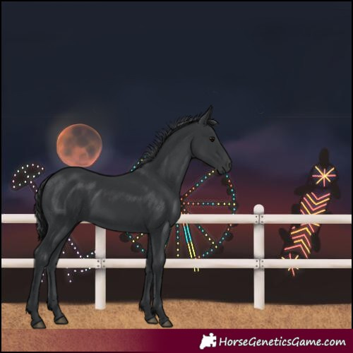 Horse Color:Unknown 
