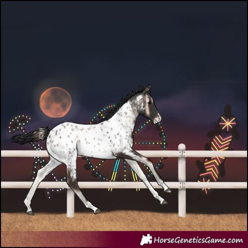 Horse Color:Unknown 