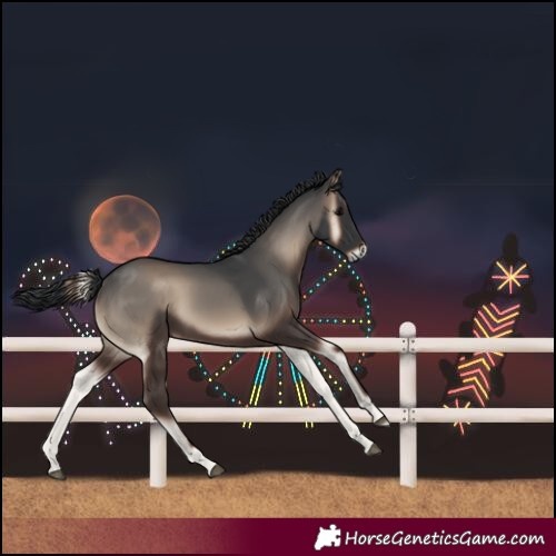 Horse Color:Unknown 