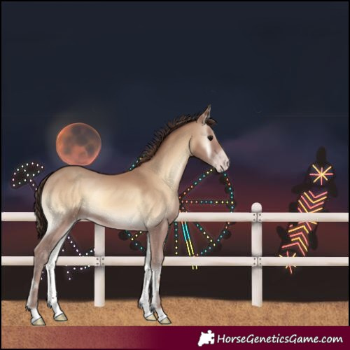 Horse Color:Unknown 