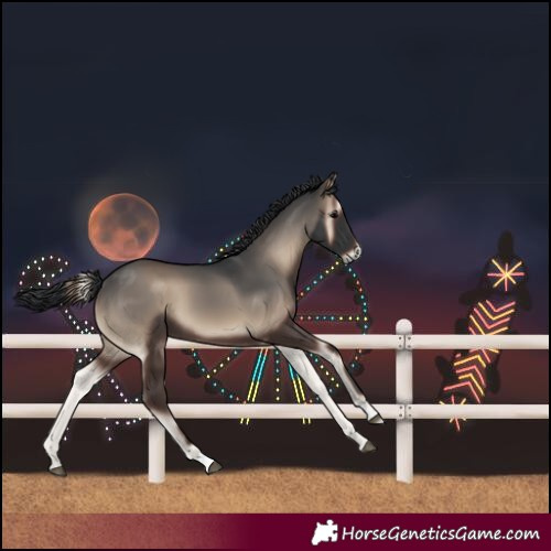 Horse Color:Unknown 