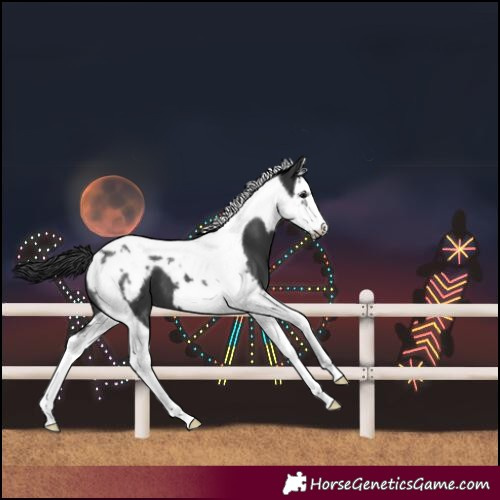 Horse Color:Unknown 