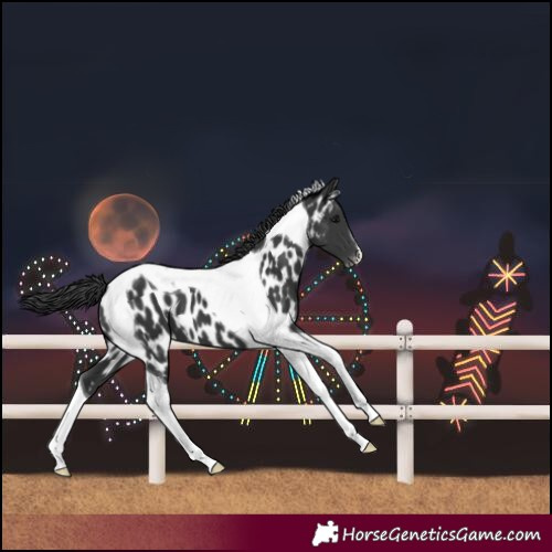 Horse Color:Unknown 
