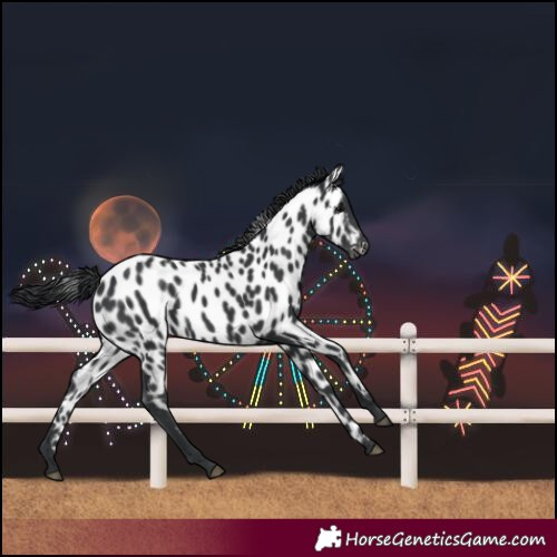 Horse Color:Unknown 