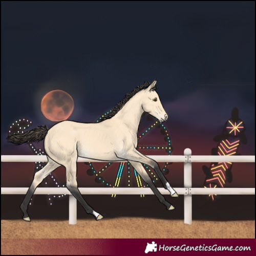 Horse Color:Unknown 